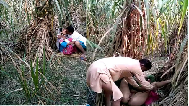Free Indian Porn village randi bhabhi outdoor fucking for money sex mms scandal